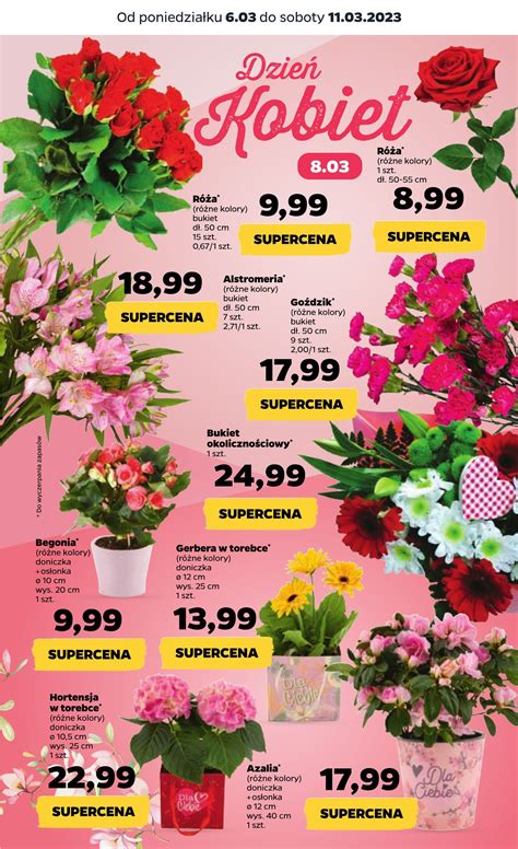 netto rośliny.